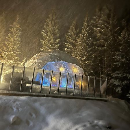 Evenes Artic Glamping 호텔 Evenesmarkja 외부 사진