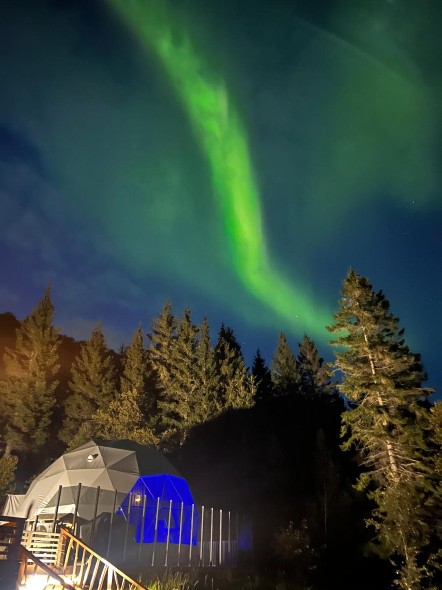 Evenes Artic Glamping 호텔 Evenesmarkja 외부 사진